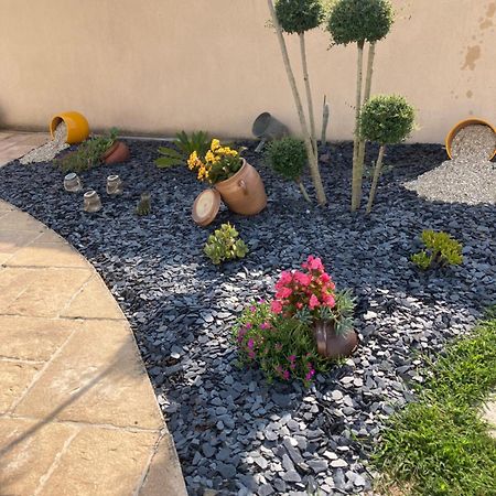 Petite Maison Dans Le Jardin Ars-en-Ré Extérieur photo